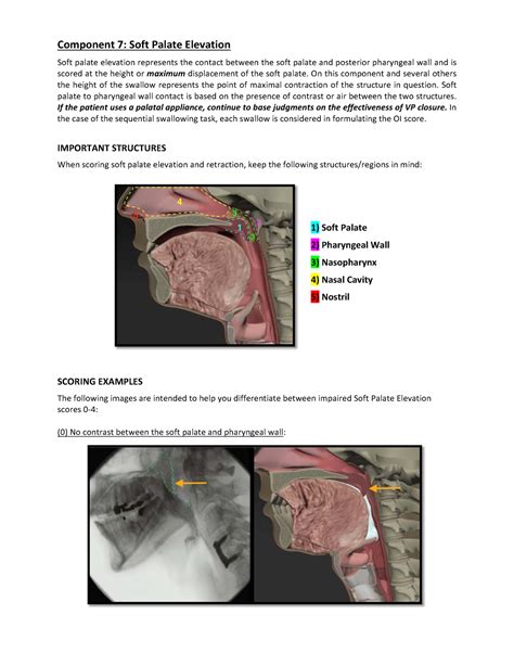 how to test rise of soft palate|soft palate normal elevation.